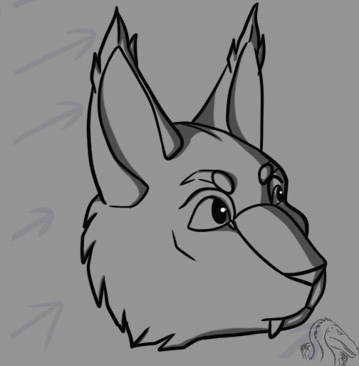 ON SALE for $35USD Flat