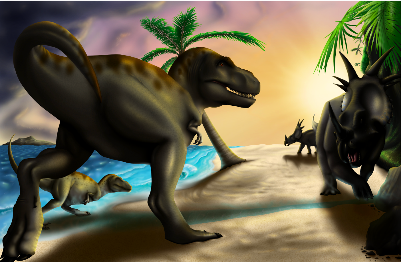 Illustrations $300USD+