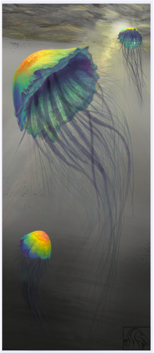 Illustrations $300USD+